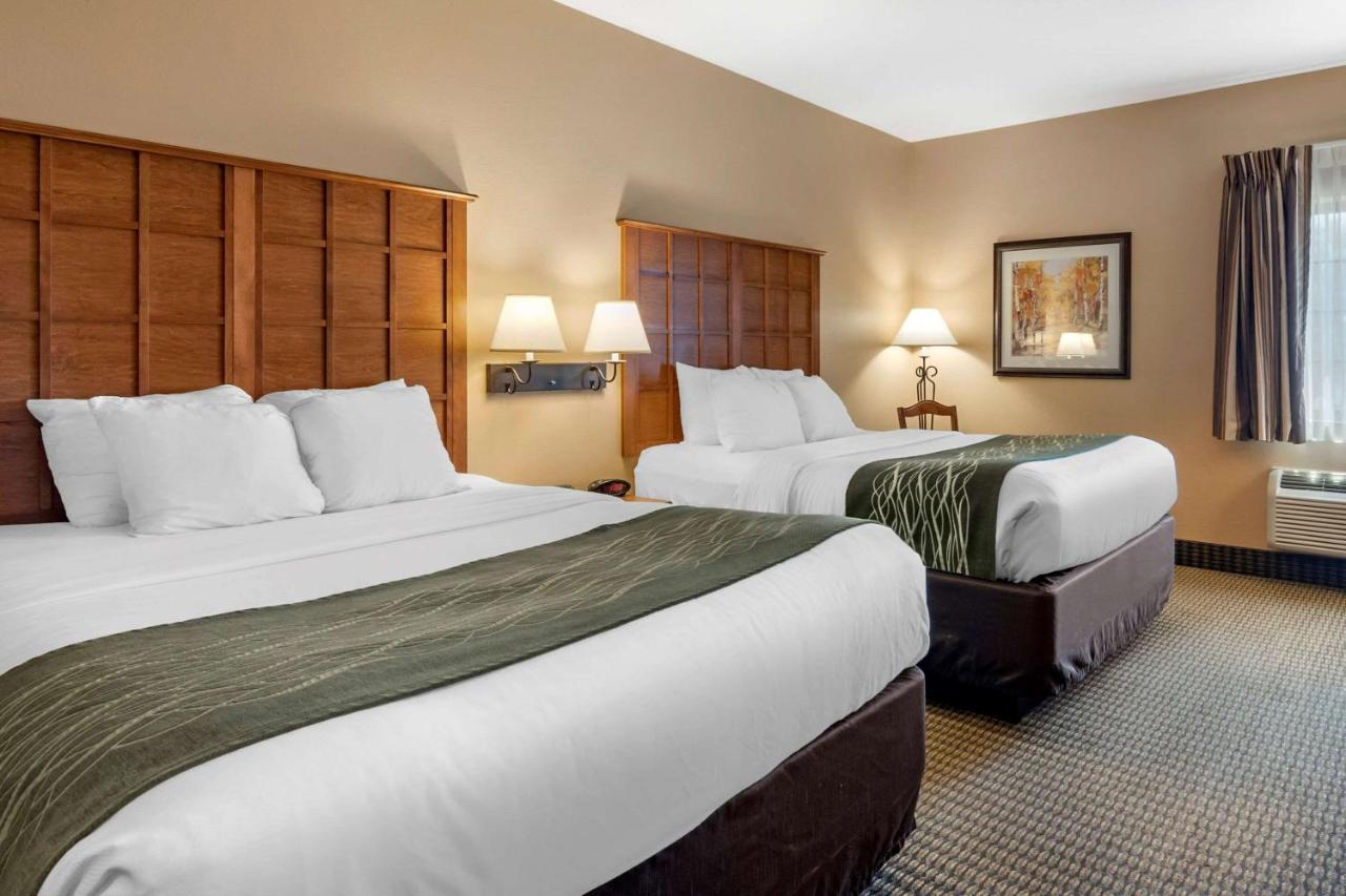 Comfort Inn & Suites Chillicothe Buitenkant foto